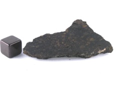 NWA 1465 CV3 meteorite