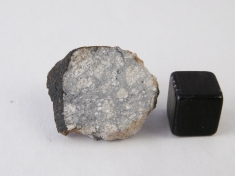 NWA 1980 Eucrite Meteorite