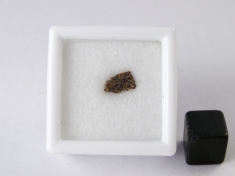 NWA 2400 Ungrouped achondrite Meteorite