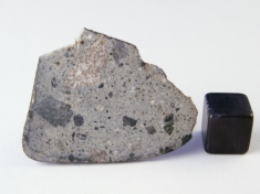 NWA 5614 Howardite Meteorite
