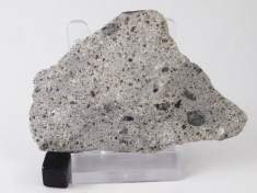 NWA 5616 Howardite Meteorite