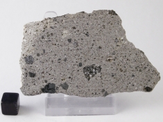 NWA 5616 Howardite Meteorite