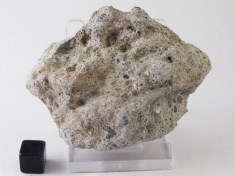 NWA 5616 Howardite Meteorite