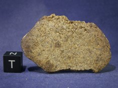 Martian Meteorites