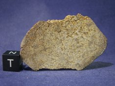 Martian Meteorites