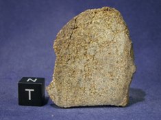 Martian Meteorites