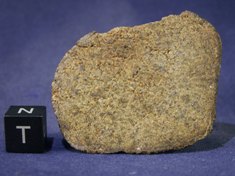 Martian Meteorites