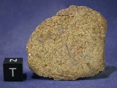 Martian Meteorites