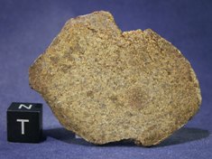 Martian Meteorites