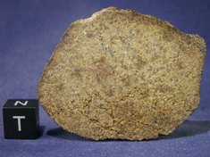 Martian Meteorites