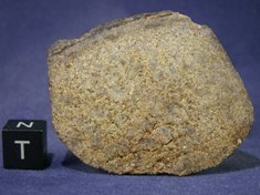 Martian Meteorites