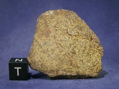 Martian Meteorites