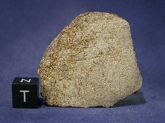 Martian Meteorites