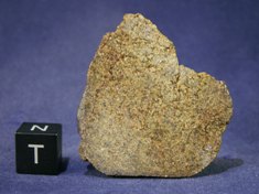 Martian Meteorites