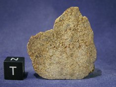 Martian Meteorites