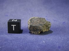 Martian Meteorites