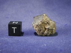 Martian Meteorites