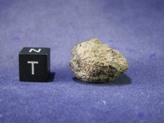 Martian Meteorites