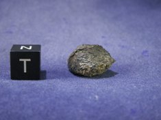 Martian Meteorites