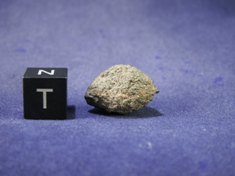 Martian Meteorites