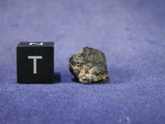 Martian Meteorites