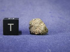 Martian Meteorites