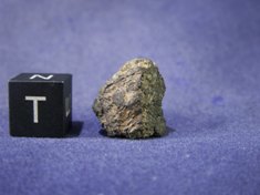 Martian Meteorites