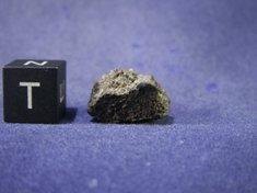 Martian Meteorites