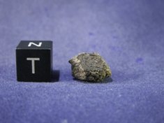 Martian Meteorites