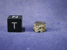 Martian Meteorites