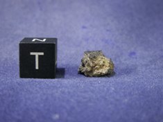 Martian Meteorites