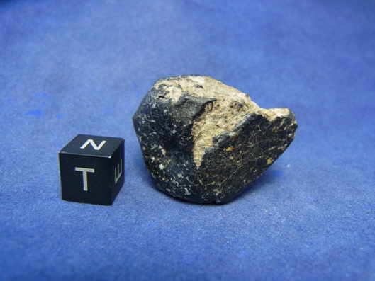 NWA 8339 Eucrite Meteorite