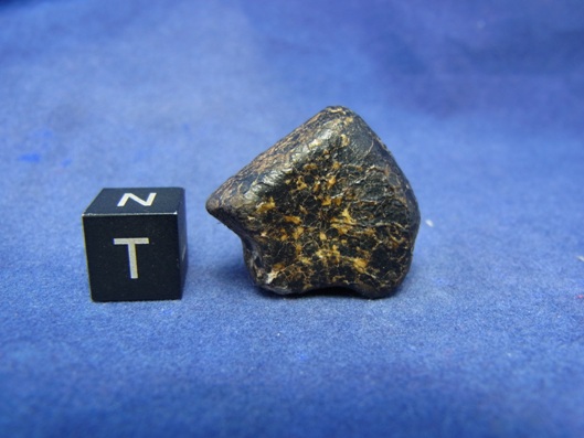 NWA 8339 Eucrite Meteorite