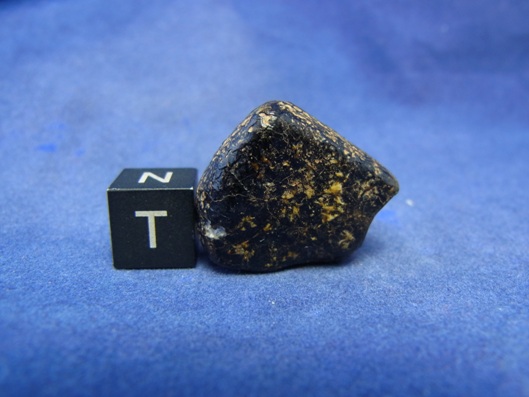 NWA 8339 Eucrite Meteorite