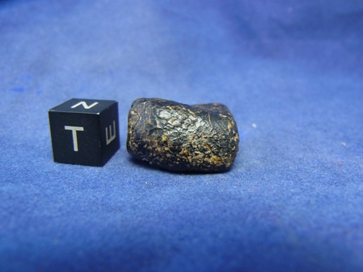 NWA 8339 Eucrite Meteorite