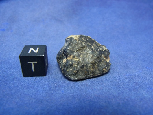 NWA 8339 Eucrite Meteorite