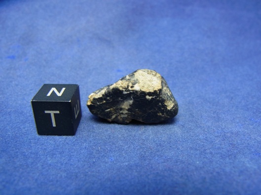 NWA 8339 Eucrite Meteorite