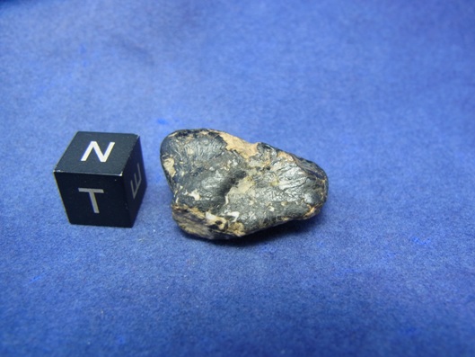 NWA 8339 Eucrite Meteorite