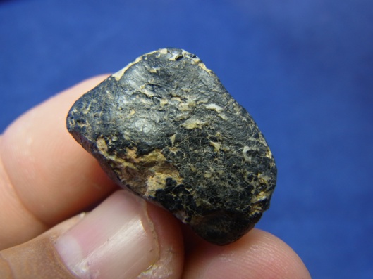 NWA 8339 Eucrite Meteorite