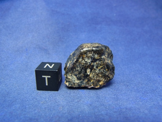 NWA 8339 Eucrite Meteorite