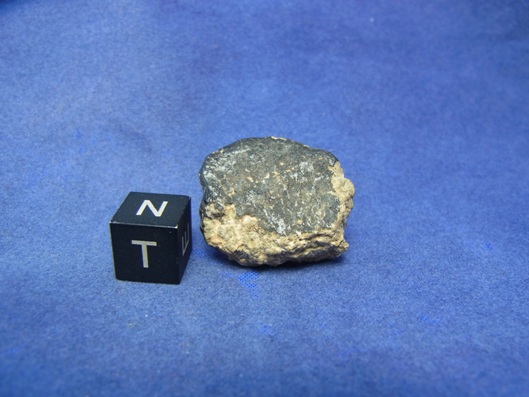 NWA 8339 Eucrite Meteorite