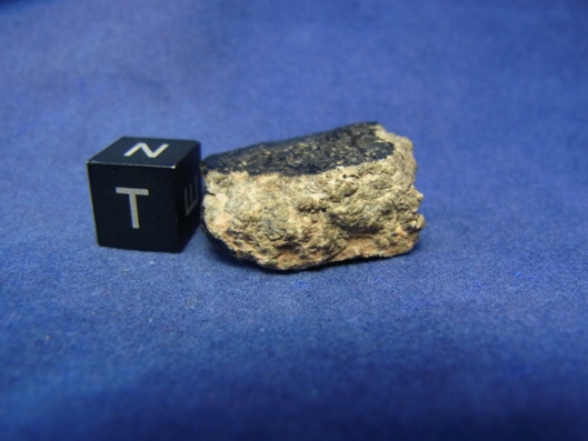 NWA 8339 Eucrite Meteorite