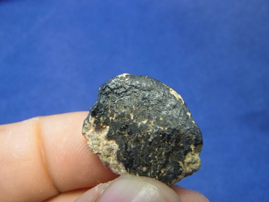 NWA 8339 Eucrite Meteorite