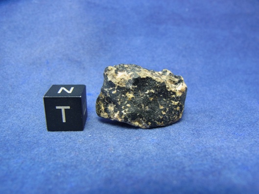 NWA 8339 Eucrite Meteorite