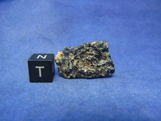 NWA 8339 Eucrite Meteorite