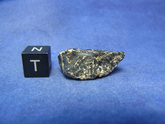 NWA 8339 Eucrite Meteorite