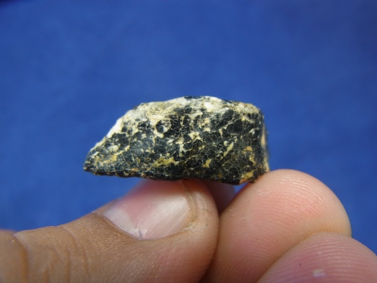 NWA 8339 Eucrite Meteorite