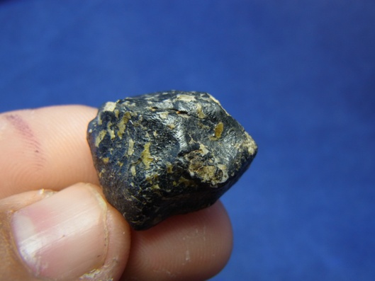 NWA 8339 Eucrite Meteorite