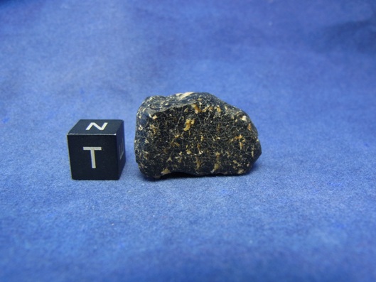 NWA 8339 Eucrite Meteorite