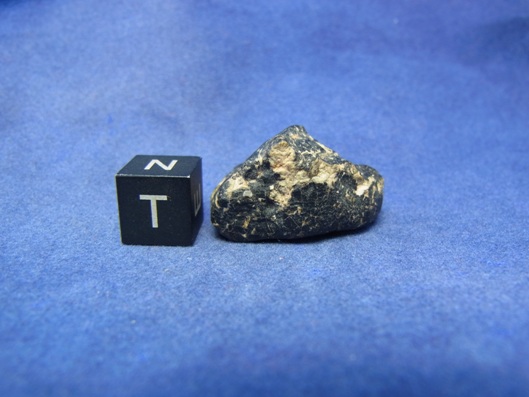 NWA 8339 Eucrite Meteorite